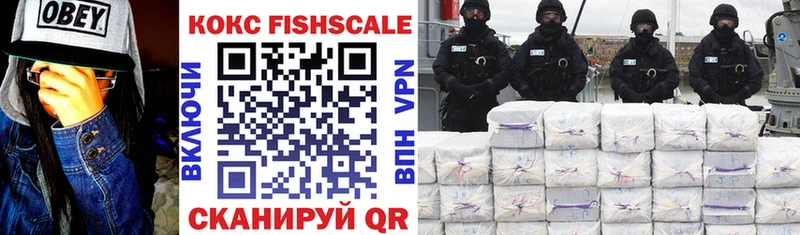 Кокаин FishScale Купить где Электроугли