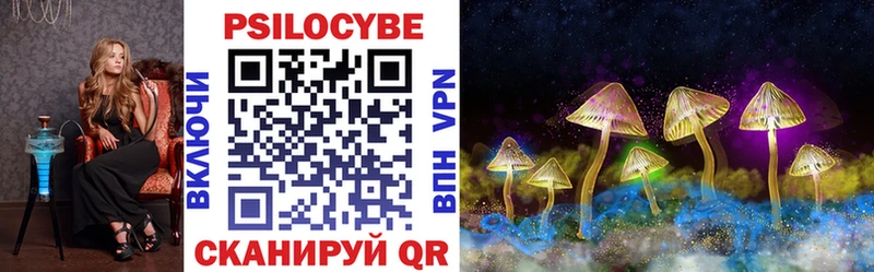 Псилоцибиновые грибы Psilocybe  Купить где  Электроугли 